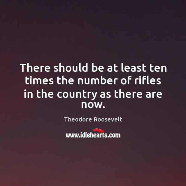 There should be at least ten times the number of rifles in the country as there are now. Theodore Roosevelt Picture Quote