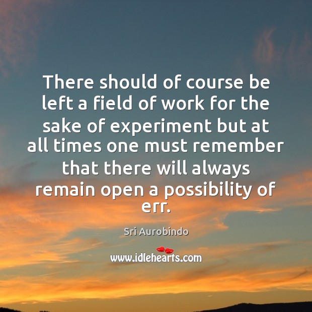 There should of course be left a field of work for the Sri Aurobindo Picture Quote