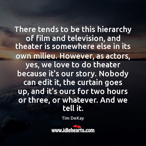 There tends to be this hierarchy of film and television, and theater Tim DeKay Picture Quote