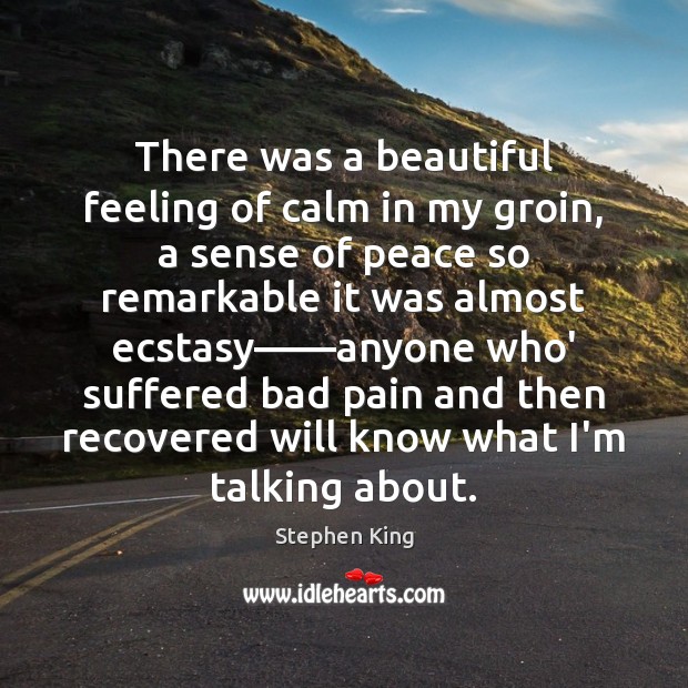 There was a beautiful feeling of calm in my groin, a sense Stephen King Picture Quote