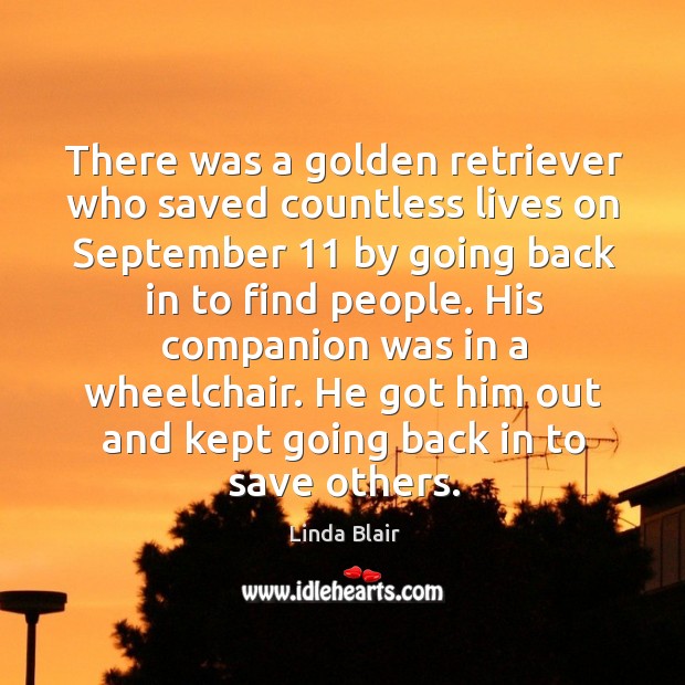There was a golden retriever who saved countless lives on september 11 by going back in to find people. Image