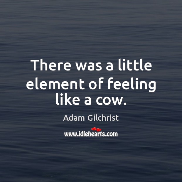 There was a little element of feeling like a cow. Adam Gilchrist Picture Quote