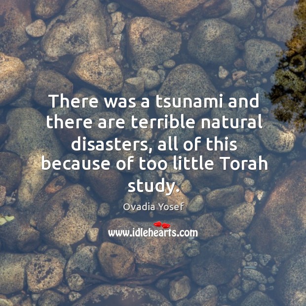 There was a tsunami and there are terrible natural disasters, all of this because of too little torah study. Ovadia Yosef Picture Quote