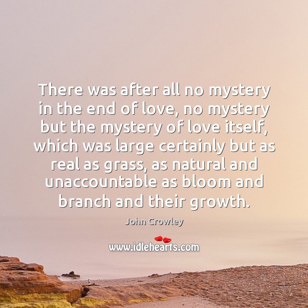 There was after all no mystery in the end of love, no John Crowley Picture Quote