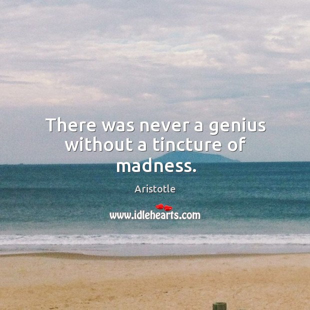 There was never a genius without a tincture of madness. Image
