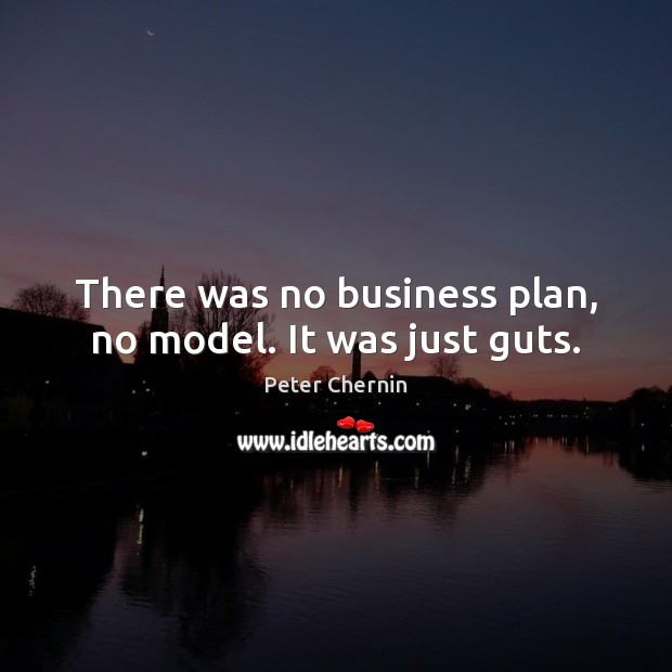 There was no business plan, no model. It was just guts. Peter Chernin Picture Quote