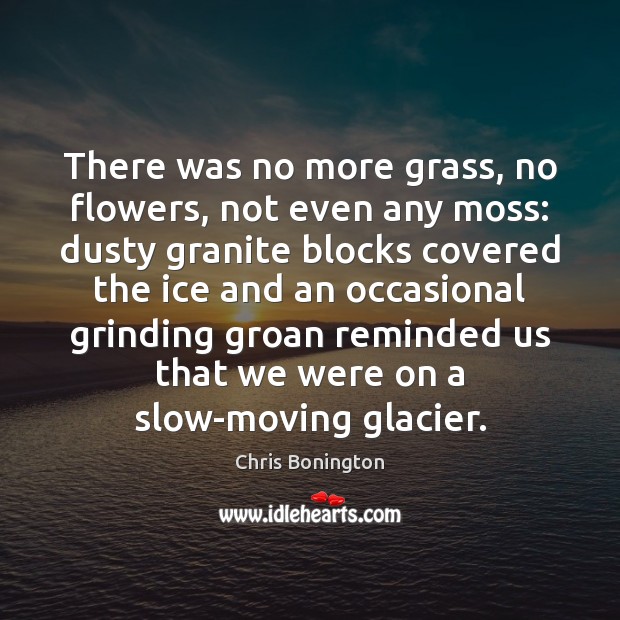 There was no more grass, no flowers, not even any moss: dusty Chris Bonington Picture Quote