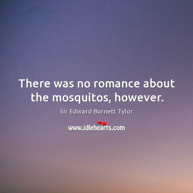 There was no romance about the mosquitos, however. Sir Edward Burnett Tylor Picture Quote
