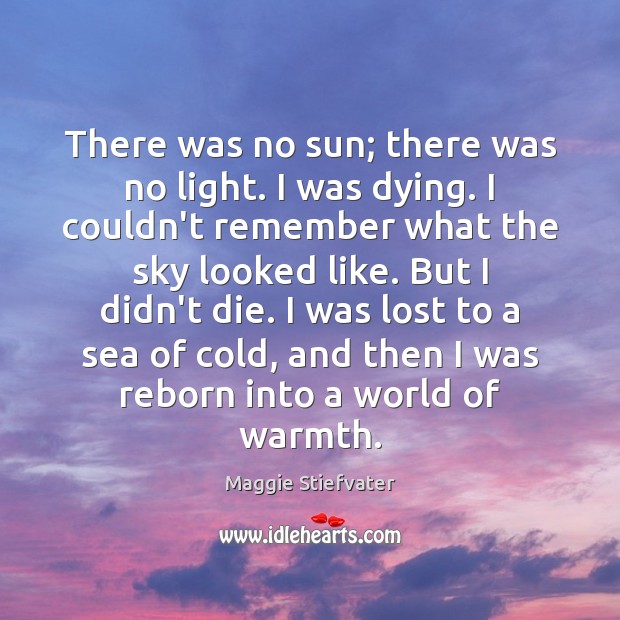 There was no sun; there was no light. I was dying. I Maggie Stiefvater Picture Quote