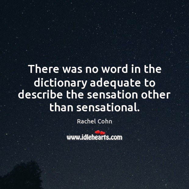 There was no word in the dictionary adequate to describe the sensation Rachel Cohn Picture Quote