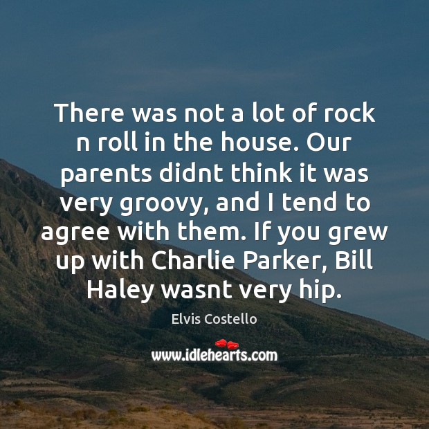 There was not a lot of rock n roll in the house. Elvis Costello Picture Quote