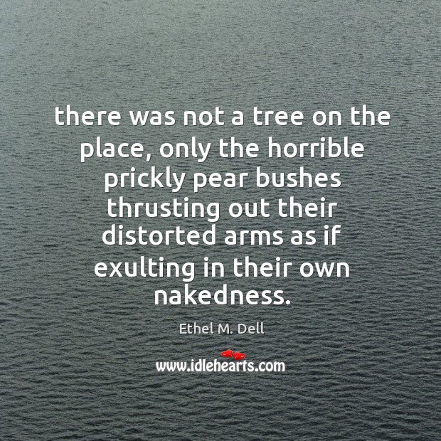 There was not a tree on the place, only the horrible prickly Ethel M. Dell Picture Quote