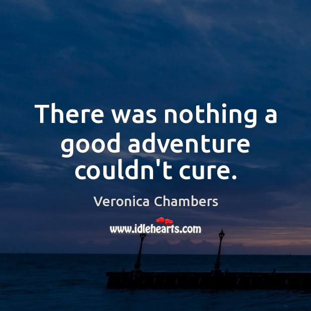 There was nothing a good adventure couldn’t cure. Veronica Chambers Picture Quote