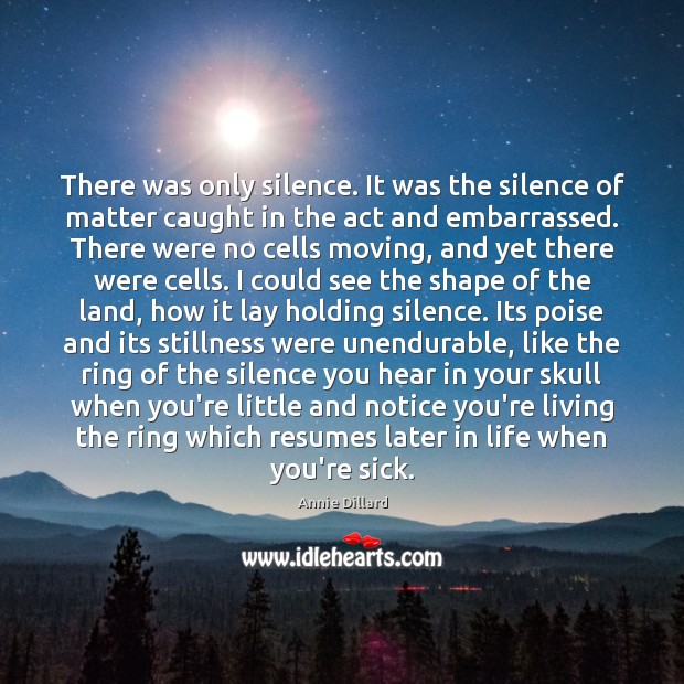 There was only silence. It was the silence of matter caught in Annie Dillard Picture Quote