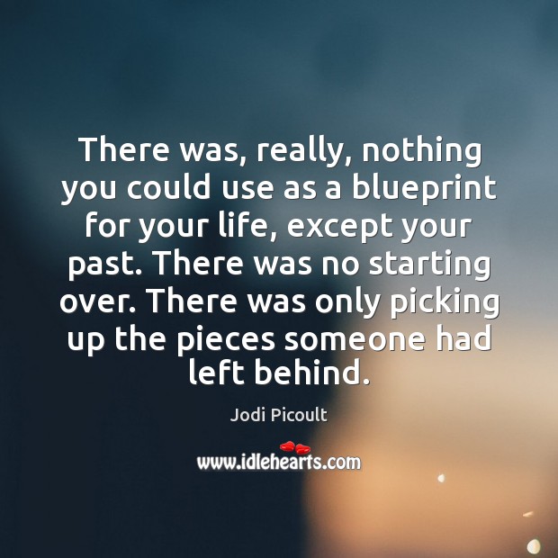 There was, really, nothing you could use as a blueprint for your Jodi Picoult Picture Quote