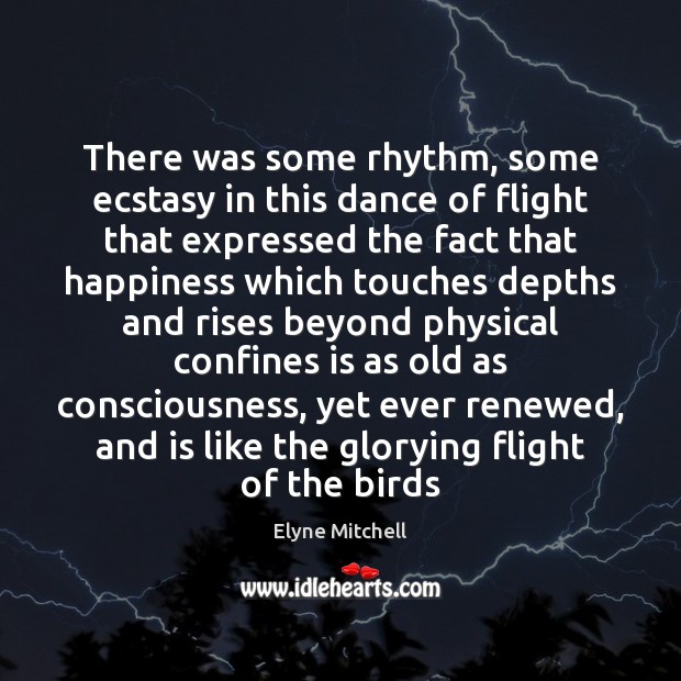 There was some rhythm, some ecstasy in this dance of flight that Elyne Mitchell Picture Quote