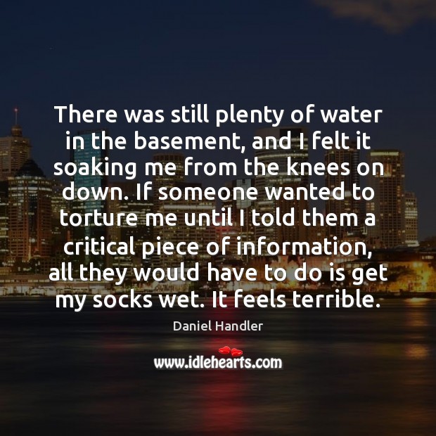 There was still plenty of water in the basement, and I felt Daniel Handler Picture Quote
