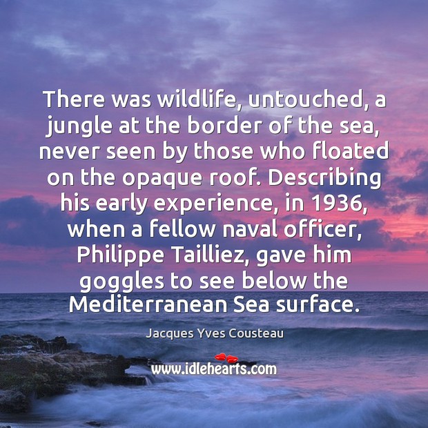 There was wildlife, untouched, a jungle at the border of the sea, Jacques Yves Cousteau Picture Quote