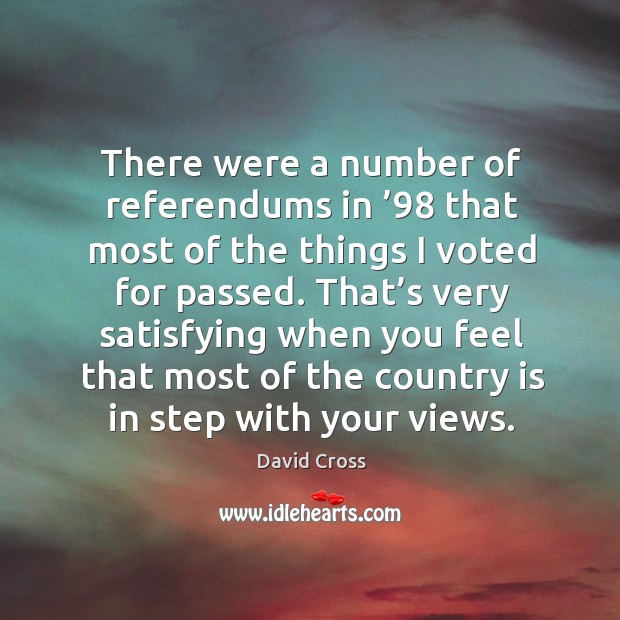 There were a number of referendums in ’98 that most of the things I voted for passed. David Cross Picture Quote