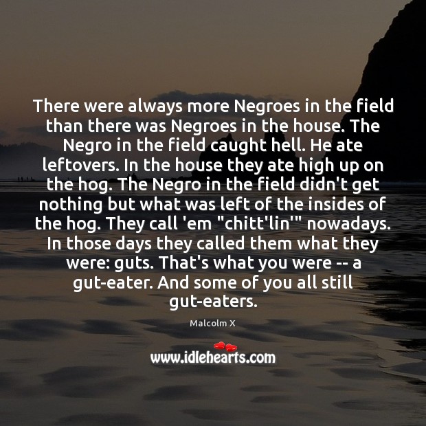 There were always more Negroes in the field than there was Negroes Malcolm X Picture Quote