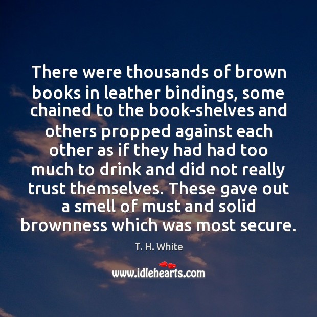There were thousands of brown books in leather bindings, some chained to Image