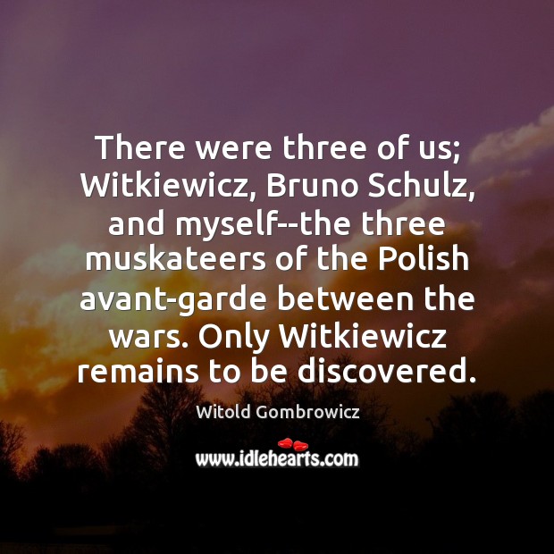 There were three of us; Witkiewicz, Bruno Schulz, and myself–the three muskateers Witold Gombrowicz Picture Quote