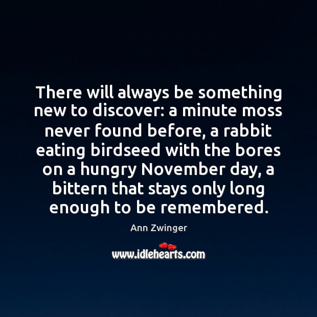 There will always be something new to discover: a minute moss never Ann Zwinger Picture Quote