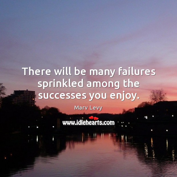 There will be many failures sprinkled among the successes you enjoy. Marv Levy Picture Quote