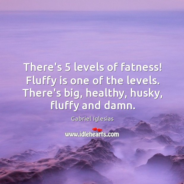 There’s 5 levels of fatness! Fluffy is one of the levels. There’s big, 