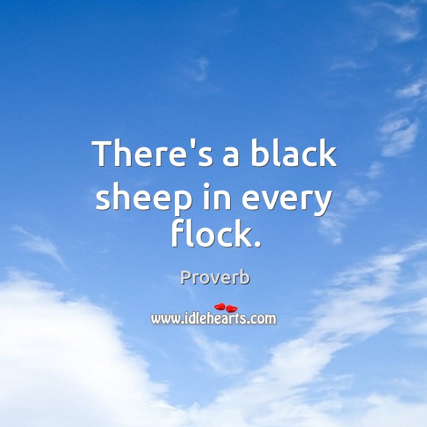 There’s a black sheep in every flock. Image