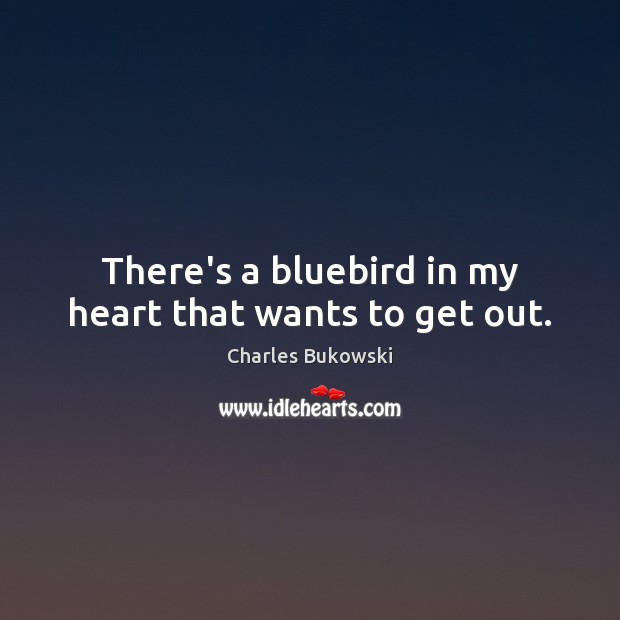 There’s a bluebird in my heart that wants to get out. Image