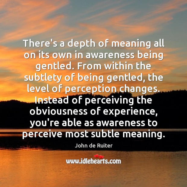 There’s a depth of meaning all on its own in awareness being John de Ruiter Picture Quote