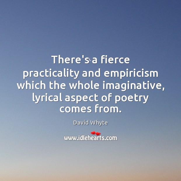 There’s a fierce practicality and empiricism which the whole imaginative, lyrical aspect David Whyte Picture Quote