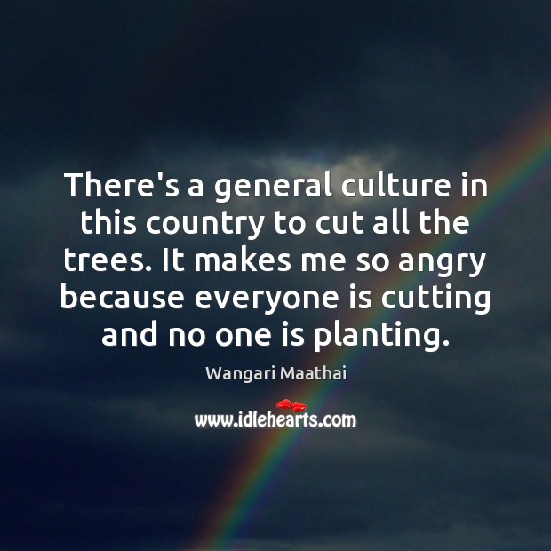 There’s a general culture in this country to cut all the trees. Image
