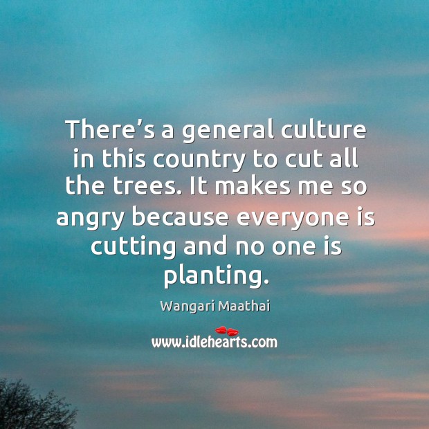 There’s a general culture in this country to cut all the trees. Image