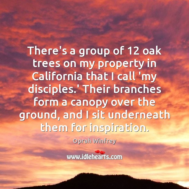 There’s a group of 12 oak trees on my property in California that Oprah Winfrey Picture Quote