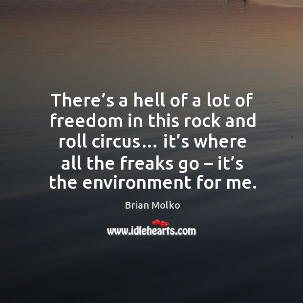 There’s a hell of a lot of freedom in this rock and roll circus… it’s where all the freaks go – it’s the environment for me. Brian Molko Picture Quote