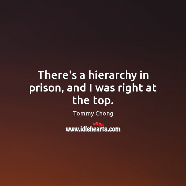 There’s a hierarchy in prison, and I was right at the top. Tommy Chong Picture Quote
