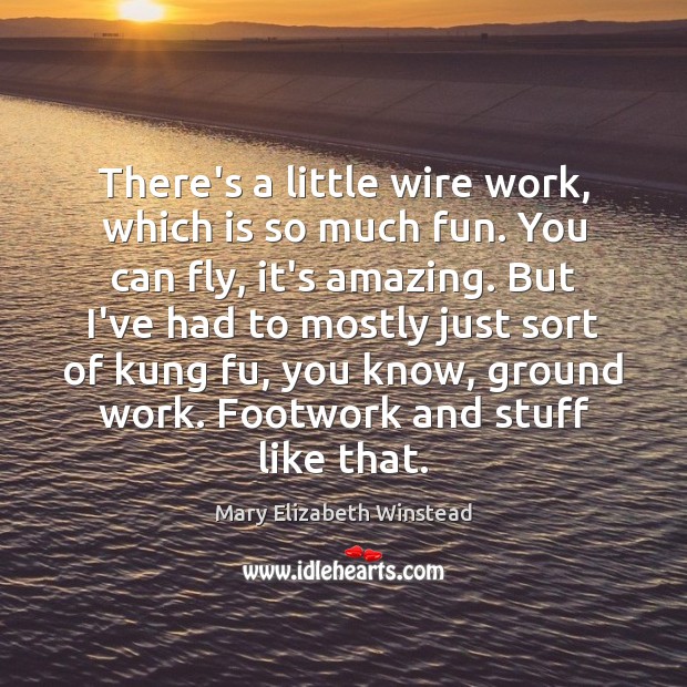 There’s a little wire work, which is so much fun. You can Mary Elizabeth Winstead Picture Quote