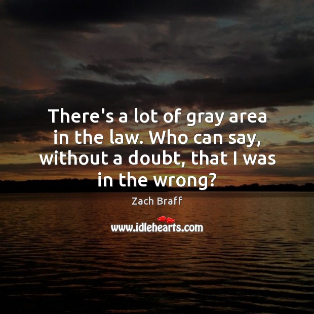 There’s a lot of gray area in the law. Who can say, Zach Braff Picture Quote
