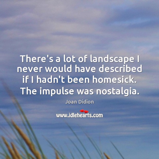 There’s a lot of landscape I never would have described if I Joan Didion Picture Quote