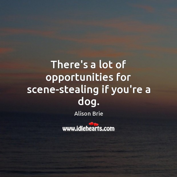 There’s a lot of opportunities for scene-stealing if you’re a dog. Alison Brie Picture Quote