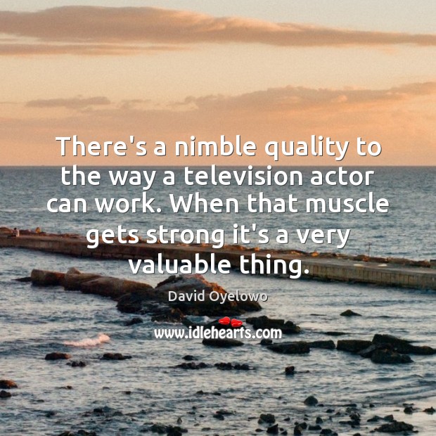 There’s a nimble quality to the way a television actor can work. David Oyelowo Picture Quote