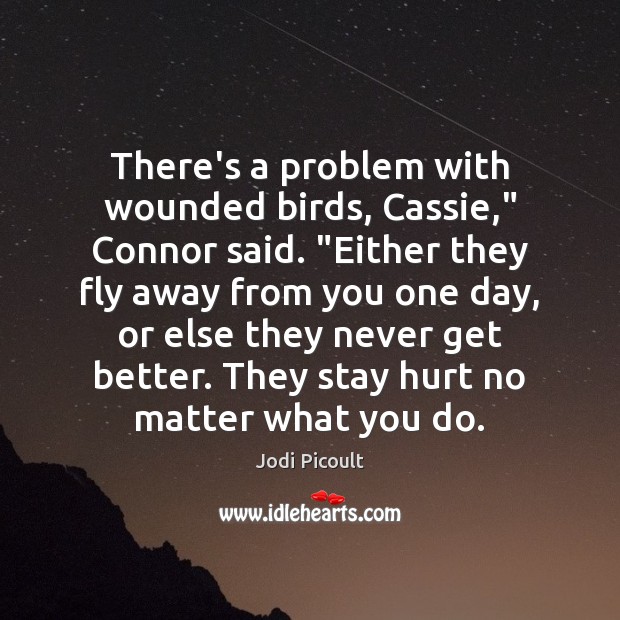 There’s a problem with wounded birds, Cassie,” Connor said. “Either they fly Image