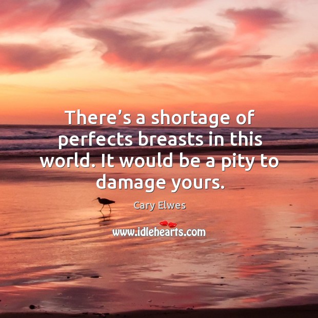There’s a shortage of perfects breasts in this world. It would be a pity to damage yours. Cary Elwes Picture Quote
