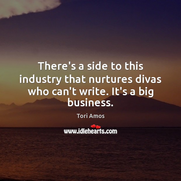 There’s a side to this industry that nurtures divas who can’t write. It’s a big business. Tori Amos Picture Quote