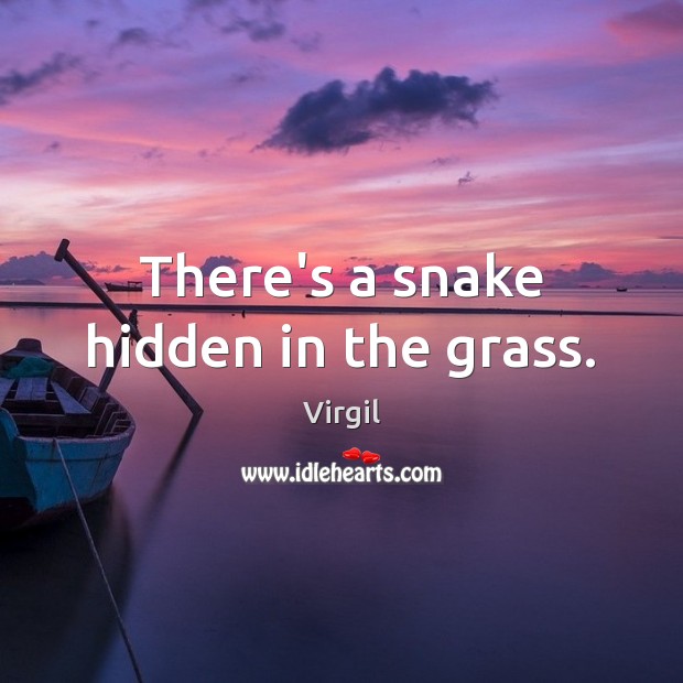 There’s a snake hidden in the grass. Virgil Picture Quote