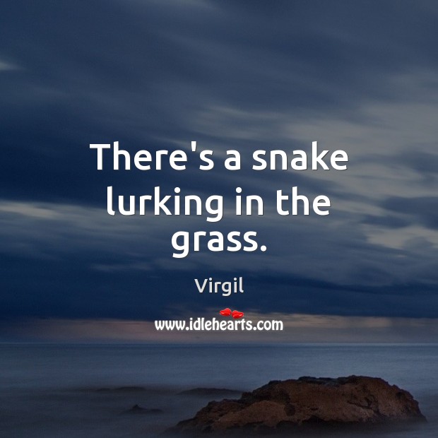 There’s a snake lurking in the grass. Virgil Picture Quote