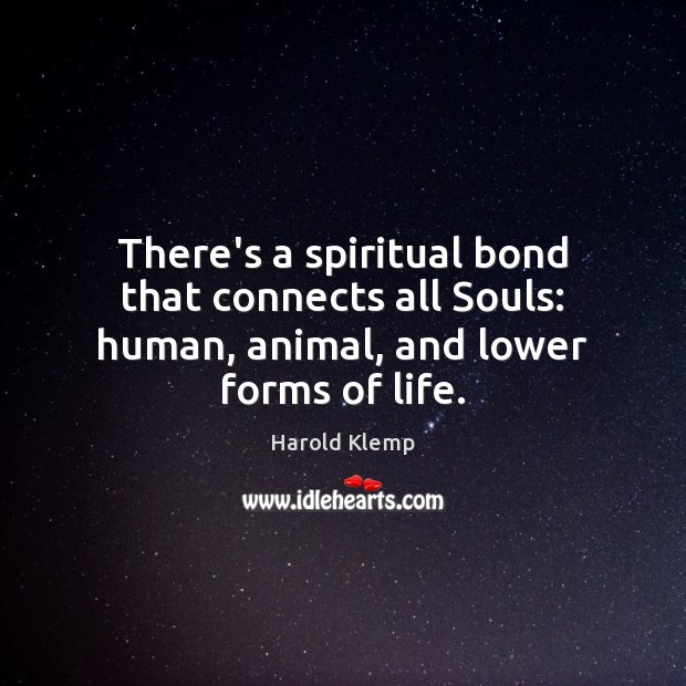 There’s a spiritual bond that connects all Souls: human, animal, and lower forms of life. Image