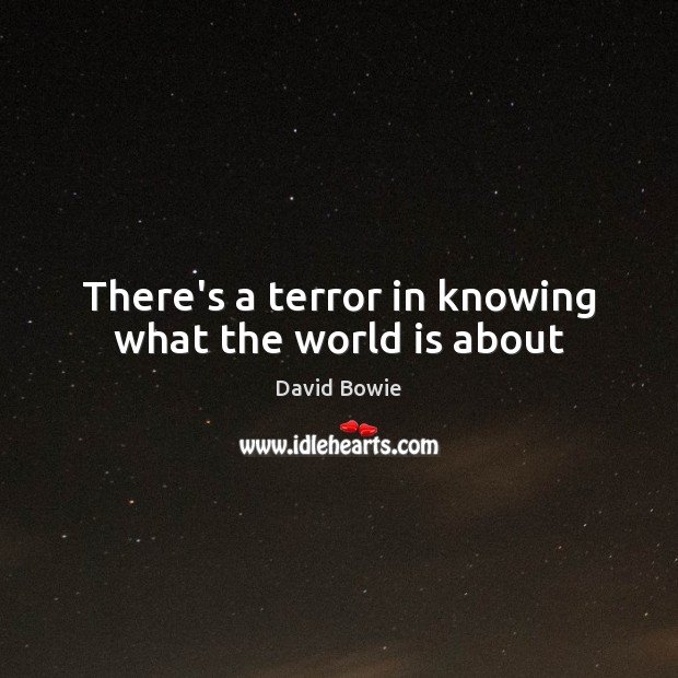 There’s a terror in knowing what the world is about David Bowie Picture Quote